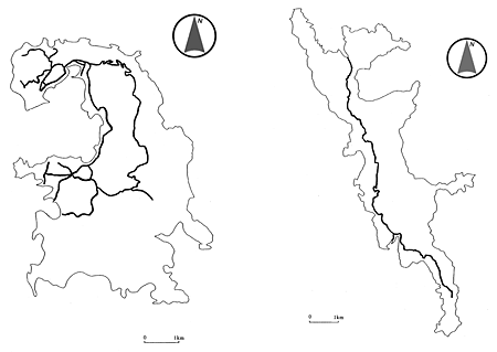 Figure 1 Measurement routes in Chichijima and Hahajima